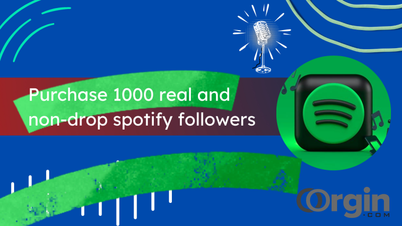 Purchase 1000 real and non-drop spotify followers