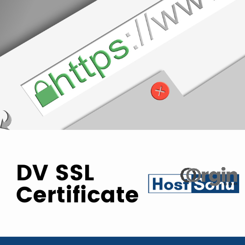 Domain Validation SSL