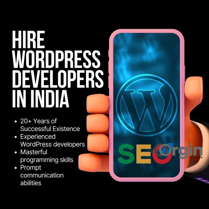 Hire WordPress Developers in India