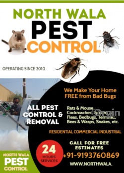 Pest Contro Servicea