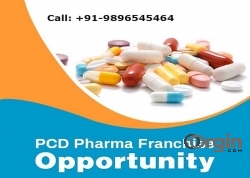 Pharma PCD Franchise Business in India