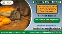 Rodent Control Bangalore