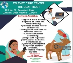 Goat veterinary medicine available | Online consultation with Vet 