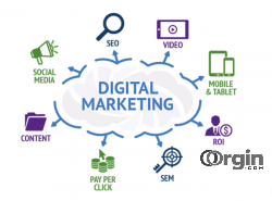 Digital Marketing Agency in Noida.