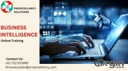 Business Intelligence online training conducting by Proexcellency