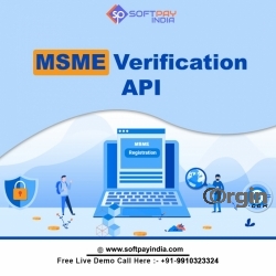 Get MSME Verification API  at Cheap Price