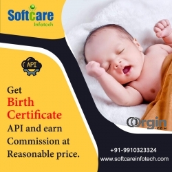 Top Birth Certificate API Service Provider Company