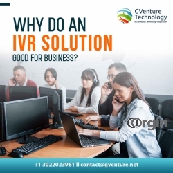   Why do an IVR solution good for business?
