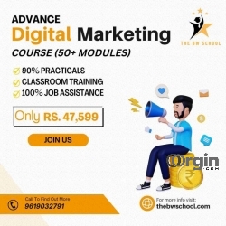 The BW School | Best digital marketing course in Kandivali