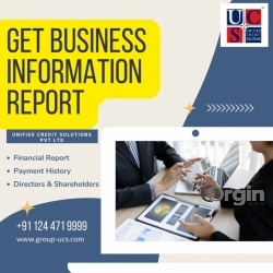 Business Information Report Service Provider in India, UAE, UK and Tha