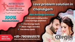 best astrologer Love problem solution in Chandigarh - Astrologer Anmol