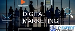 best digital marketing agency in delhi 