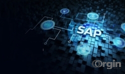 Rise With SAP Implementation Solutions and Services