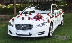Wedding Self Drive Car Rental in Jaipur