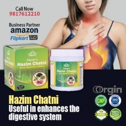 Cipzer Hazim Chatni is best remedy for digestion