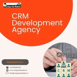 Expert CRM Development Agency for Customized Solutions