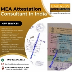 Expert MEA Attestation Consultants: Trusted Services in India