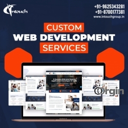 Custom Web Development Company in Delhi