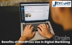Benefits of WordPress Use in Digital Marketing