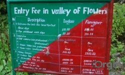 Best Time to Visit Valley of Flowers - Blue Poppy Holidays
