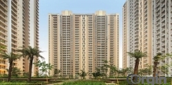 Cleo Gold offers 4 BHK Luxury Apartments in Sector 121 Noida.