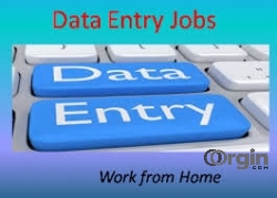 Home based Data entry genuine project work with your flexible timings