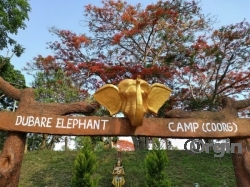 Dubare Elephant Camp Resort - Dubare Elephant Camp by Jungle Lodges