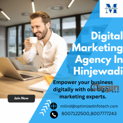 Digital Marketing Agency in Hinjewadi | Milind Morey