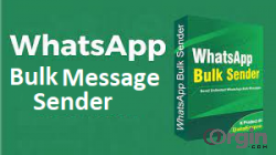 Powerful and easy-to-use bulk WhatsApp messaging software for business