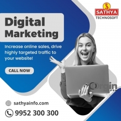 Digital Marketing Company in India | Sathya Technosoft